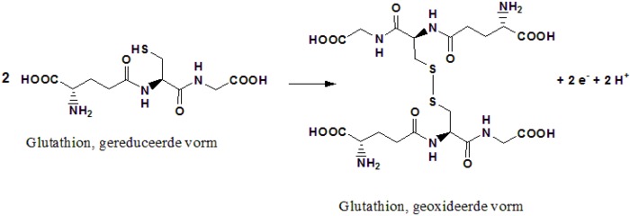 gereduceerd glutathion Wat is het verschil tussen gereduceerd en geoxideerd glutathion?
